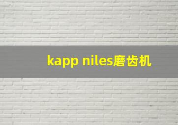 kapp niles磨齿机